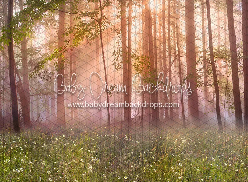 April Meadow Morning (CC)