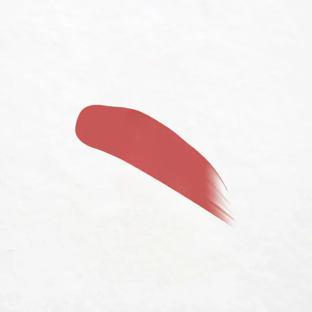 Fixing Tint (12 Salmon Brick)